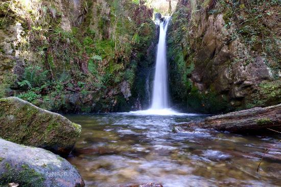 Área Recreativa del Chorrón