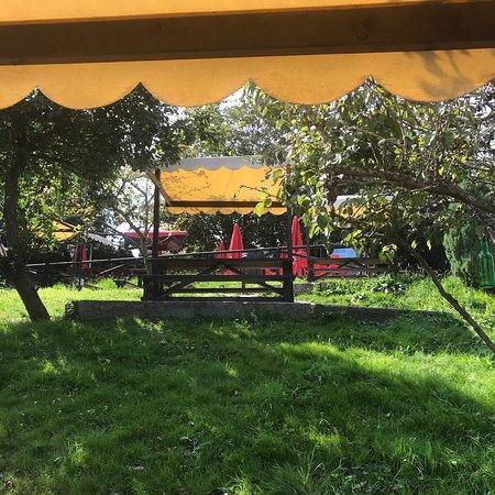 Los Manzanos Del Bosque