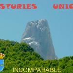 Chigre Del Llagar Alonso