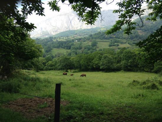 Parque de la prehistoria de Teverga