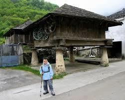 Inicio Ruta Bosque Moal